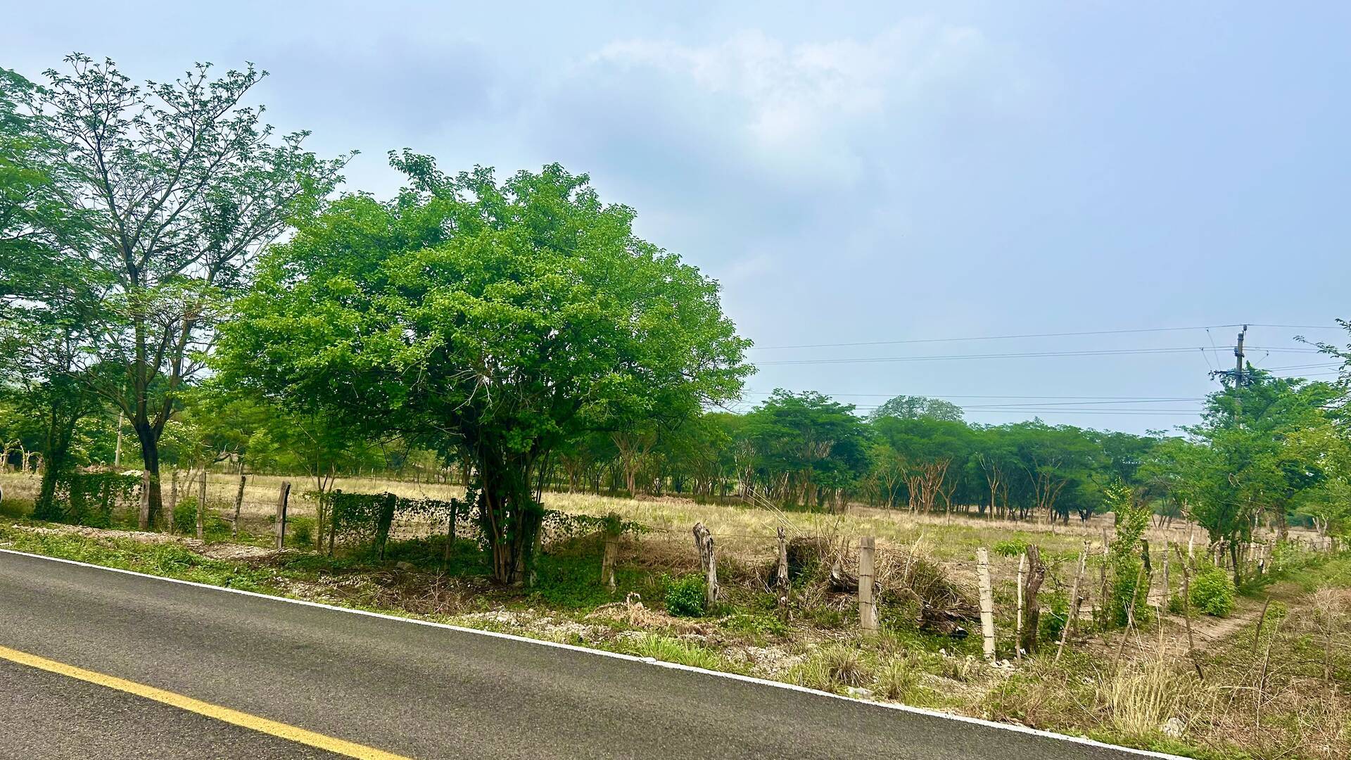 #18 - Área para Venta en Chiapa de Corzo - CS