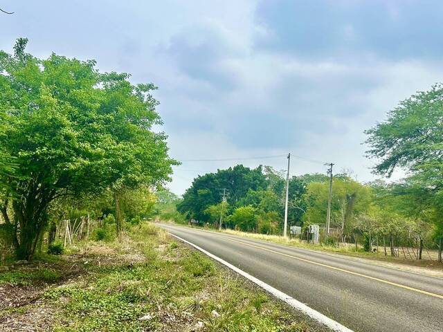 #18 - Área para Venta en Chiapa de Corzo - CS - 3