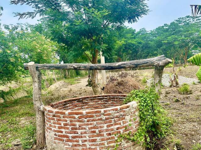 Área para Venta en Chiapa de Corzo - 4