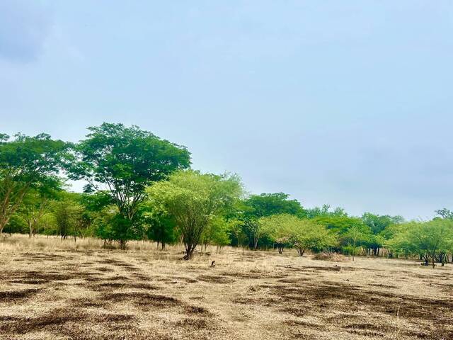 Área para Venta en Chiapa de Corzo - 5