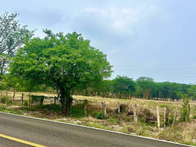 Venta en Ejido Francisco Sarabia - Chiapa de Corzo