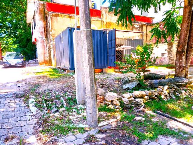 #29 - Área para Renta en Palenque - CS - 3