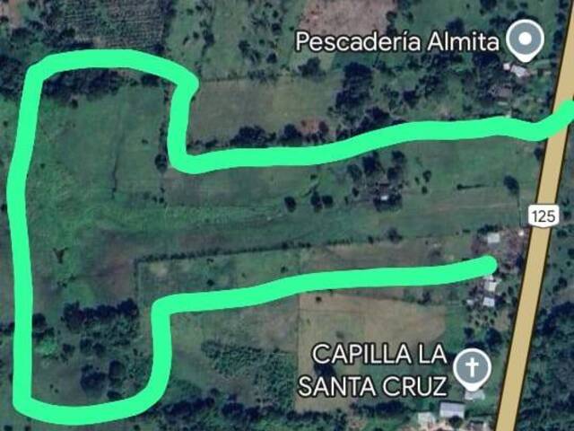 #39 - Terreno para Venta en Reforma - CS - 1