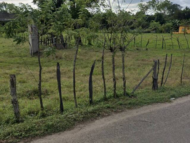 #39 - Terreno para Venta en Reforma - CS - 2