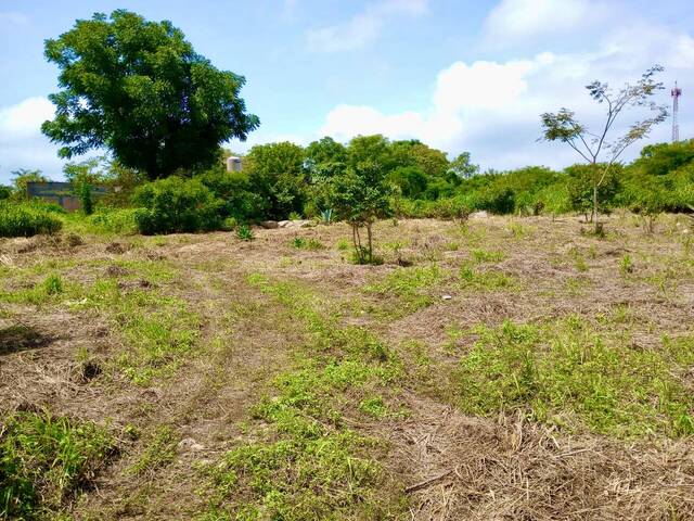 #43 - Área para Venta en Berriozábal - CS - 2
