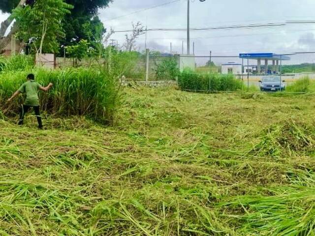 #43 - Área para Venta en Berriozábal - CS - 3