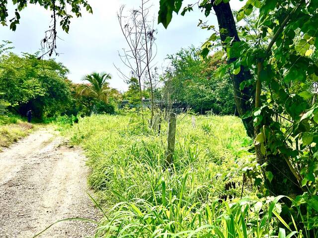 #47 - Área para Venta en Tuxtla Gutiérrez - CS - 1