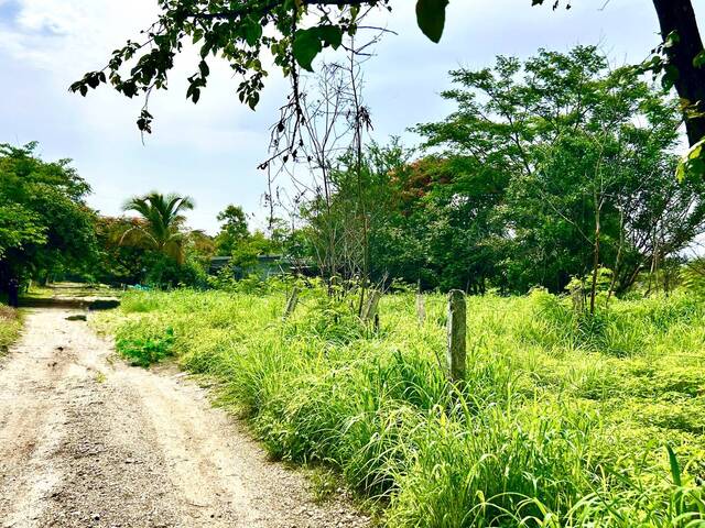 #47 - Área para Venta en Tuxtla Gutiérrez - CS - 3