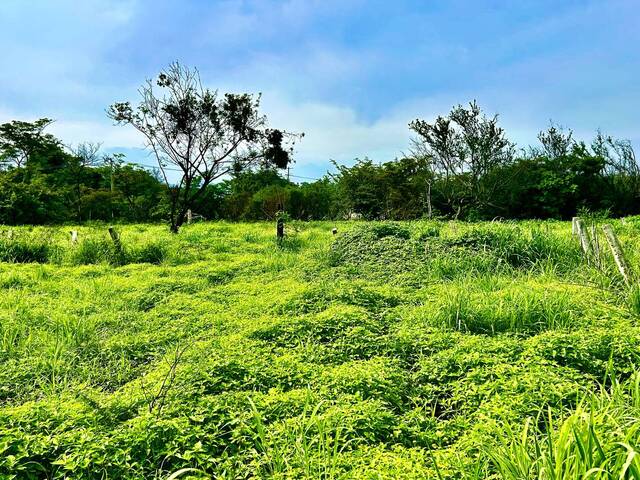 Área para Venta en Tuxtla Gutiérrez - 5