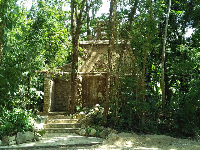 Área para Venta en Palenque - 4