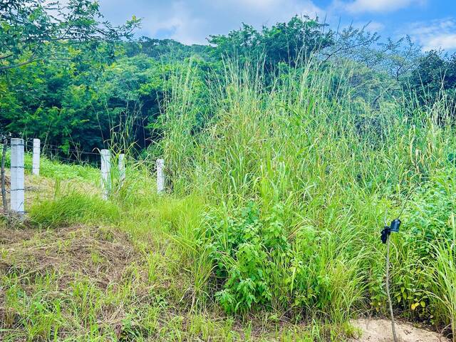 Área para Venta en Tuxtla Gutiérrez - 3