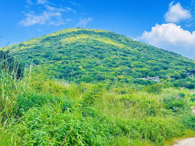 Área para Venta en Tuxtla Gutiérrez - 4